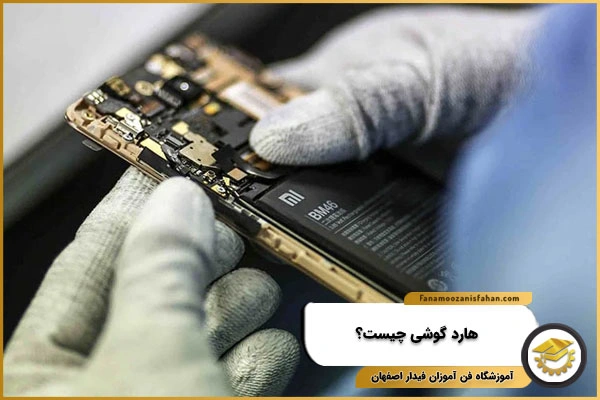 هار گوشی چیست